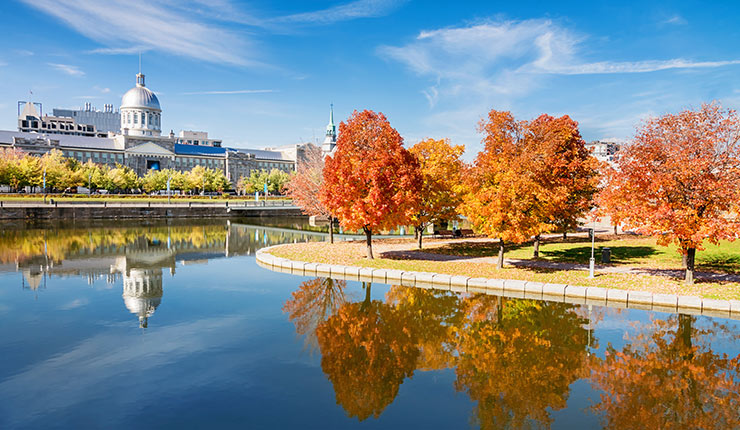 agence de rencontre pour professionnels montréal