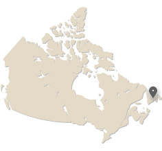 Barbati Newfoundland and Labrador | Chat Online cu Barbati Newfoundland and Labrador - Sentimente
