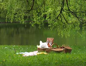 Picnic set up by a river